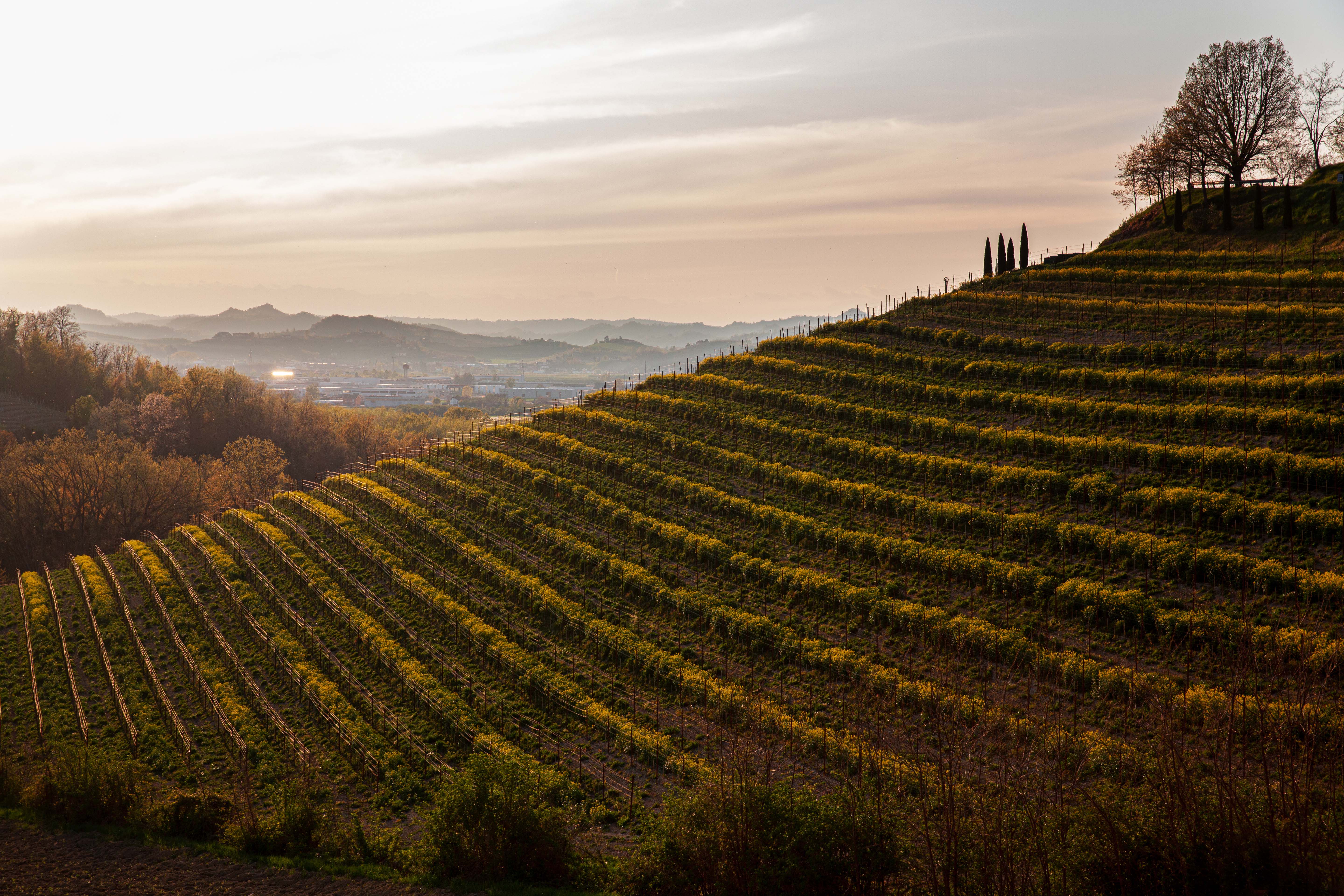 Costa Russi – Gaja