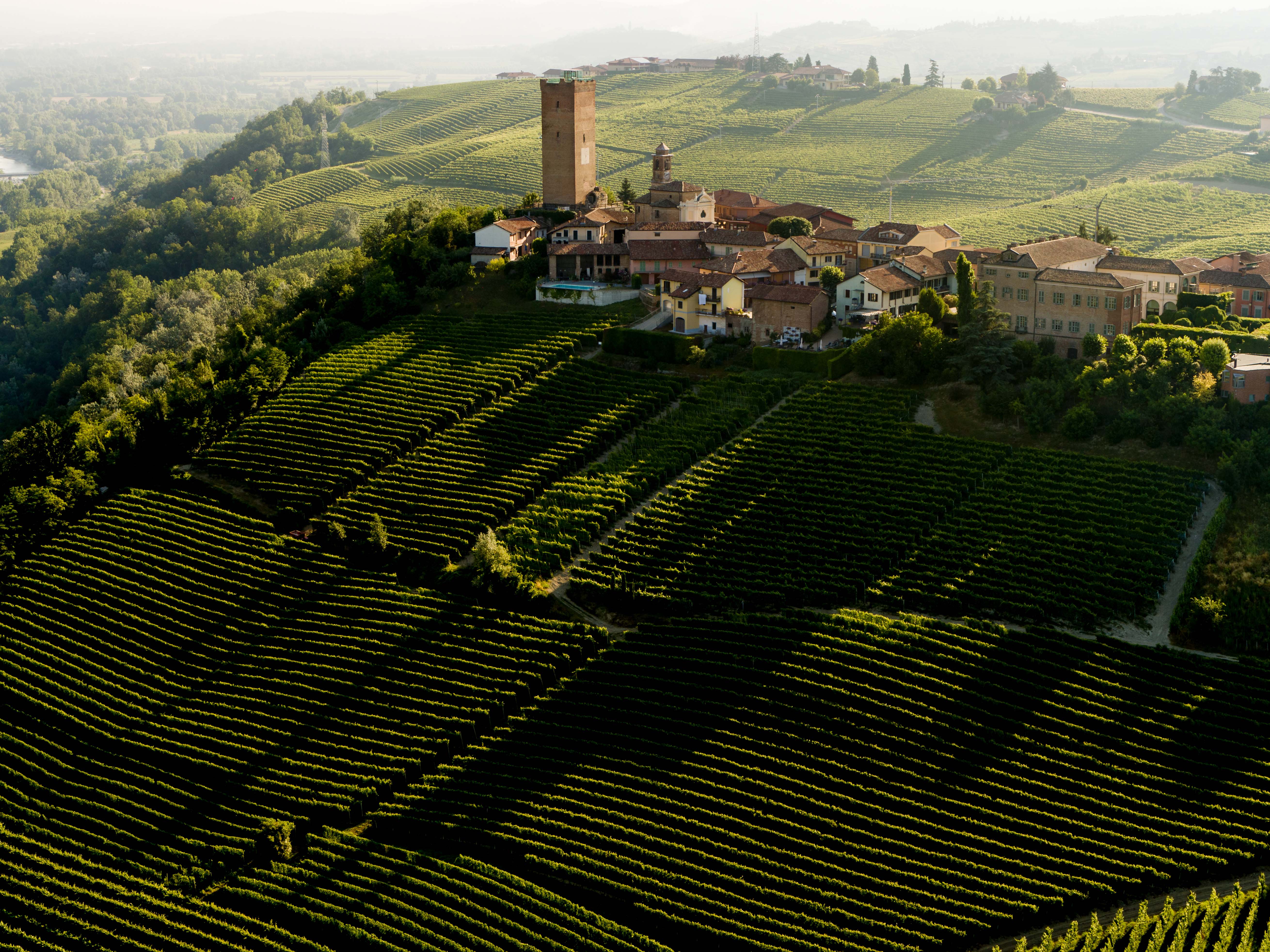 Barbaresco Piemonte Angelo Gaja