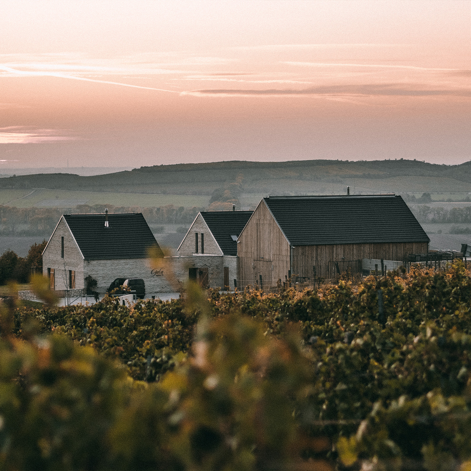 Vinařství Gala – dům